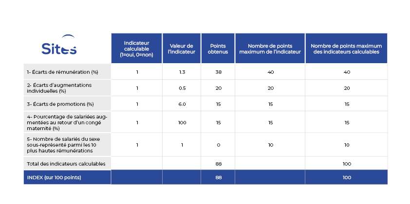 tableau-indicateurs-egalite-salariale2024